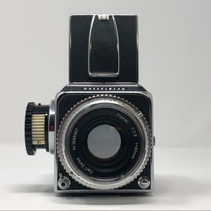 Meet your Posher, Wyatt